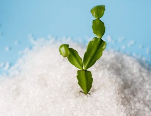 Corvay Bioproducts in the Wirtschaftswoche April 2024